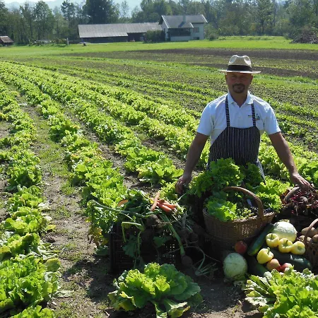 Kro Sport Center Prodnik Ljubno