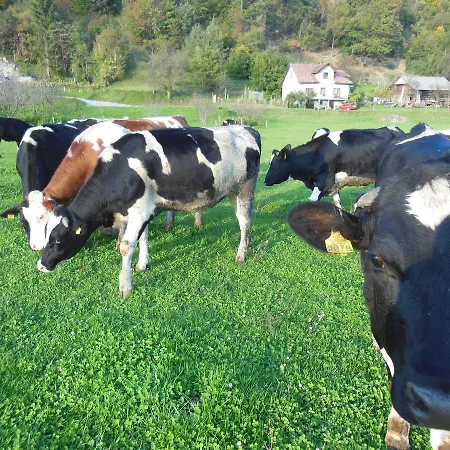 Kro Sport Center Prodnik 4*