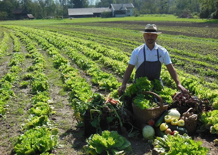 بيت ريفي Sport Center Prodnik Ljubno