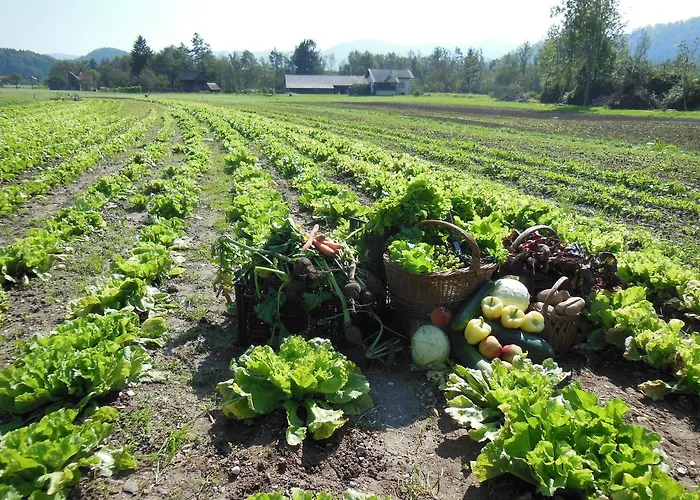 Sport Center Prodnik Gasthof 4*