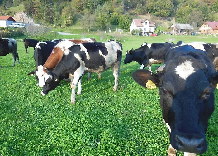 Gasthof Sport Center Prodnik 4*